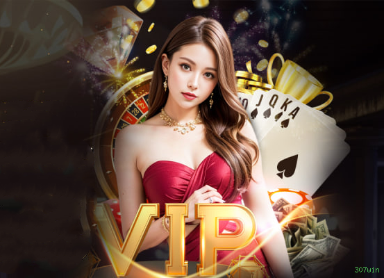 307win Provedores Premium